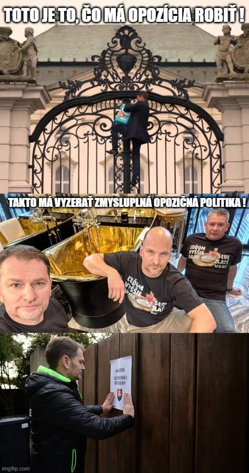 pohľad do duše voliča OĽANO