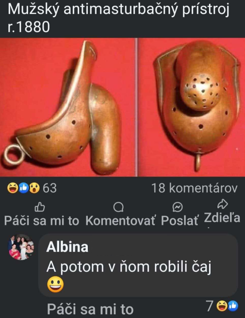 Ešte toto do ústavy