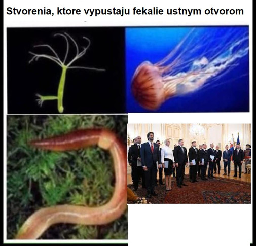 naivne ale pravdive