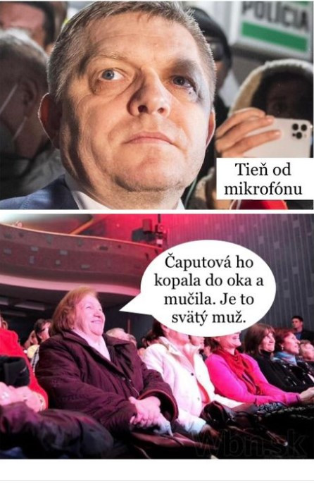 Ficova sekta