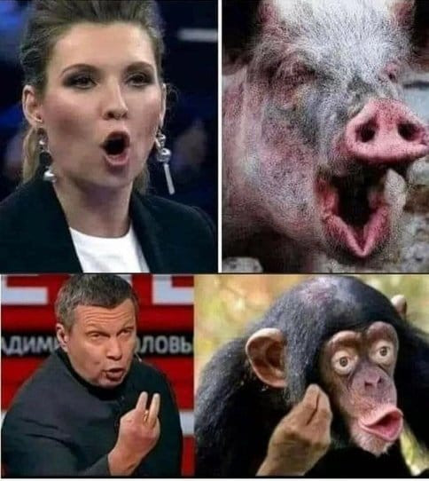 stepní bratia a sestry našich Dezolátov